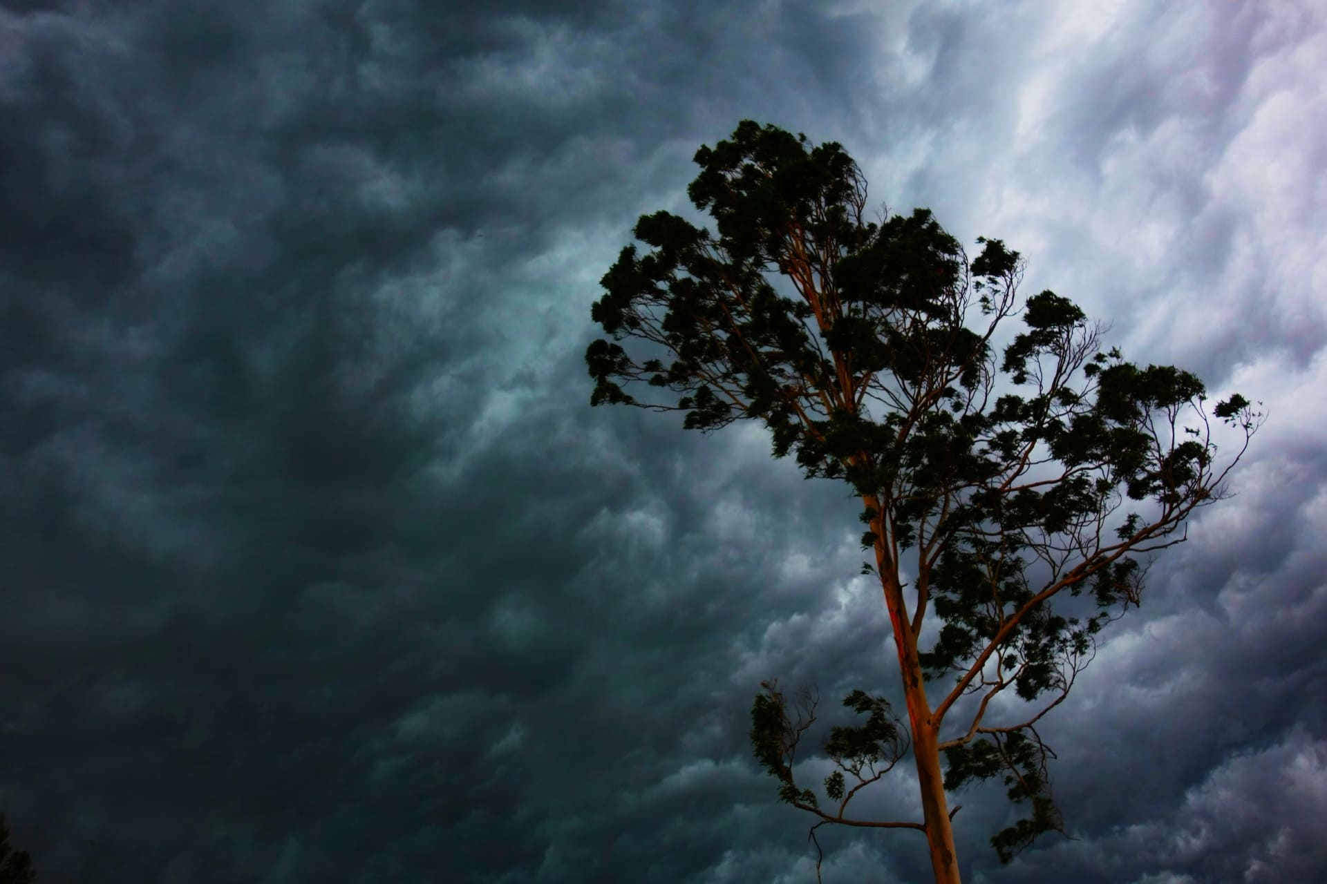 グランピング　天候キャンセル